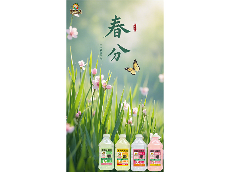 春來(lái)處處百花香 莫負(fù)好時(shí)光